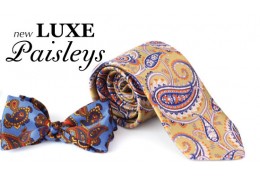 Cantucci's New Paisley Collections