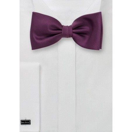 Wine-Red Bow Tie