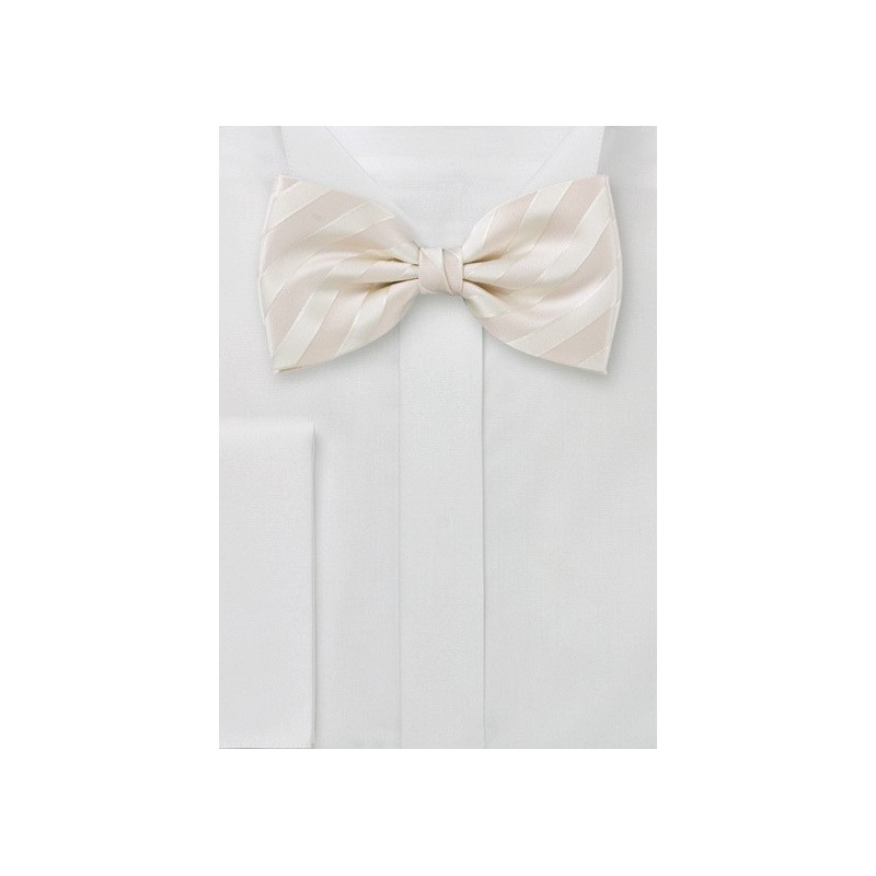 Striped Bow Tie in Cream Color