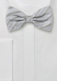 Silver Striped Bow Tie