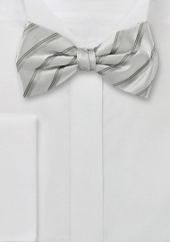 Silver Gray Striped Bow Tie
