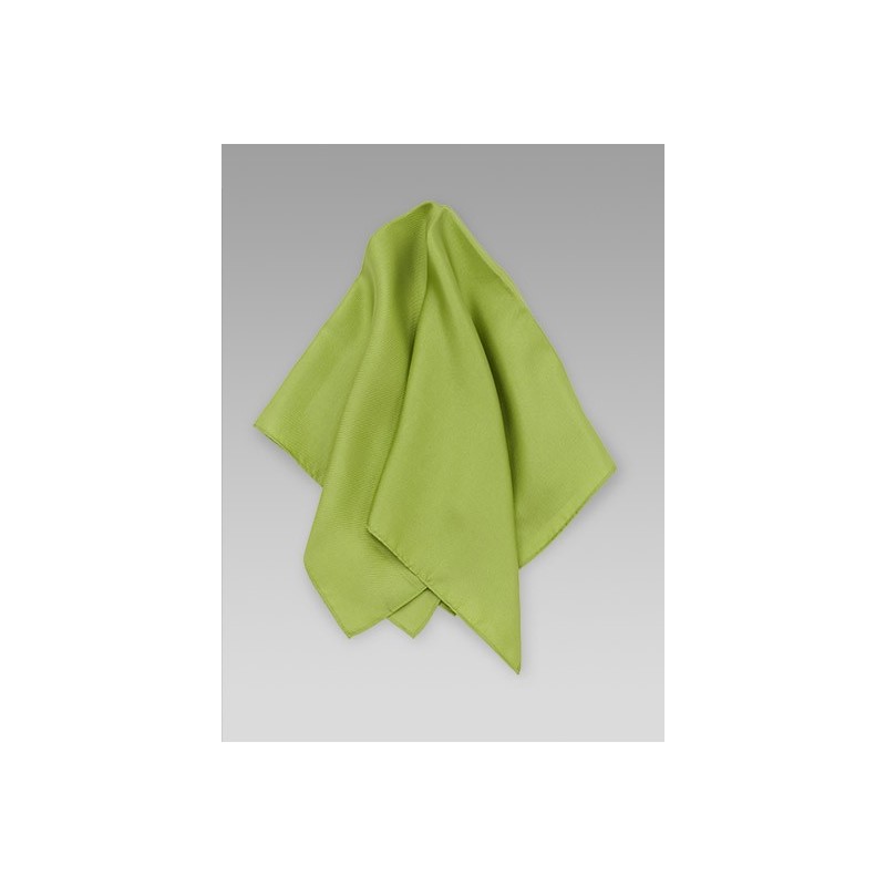 Solid Sage Green Womens Silk Scarf - Ties-Necktie.com