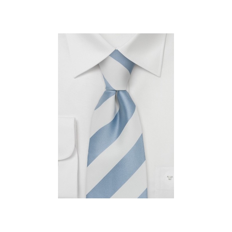 Powder Blue and Light Silver Tie