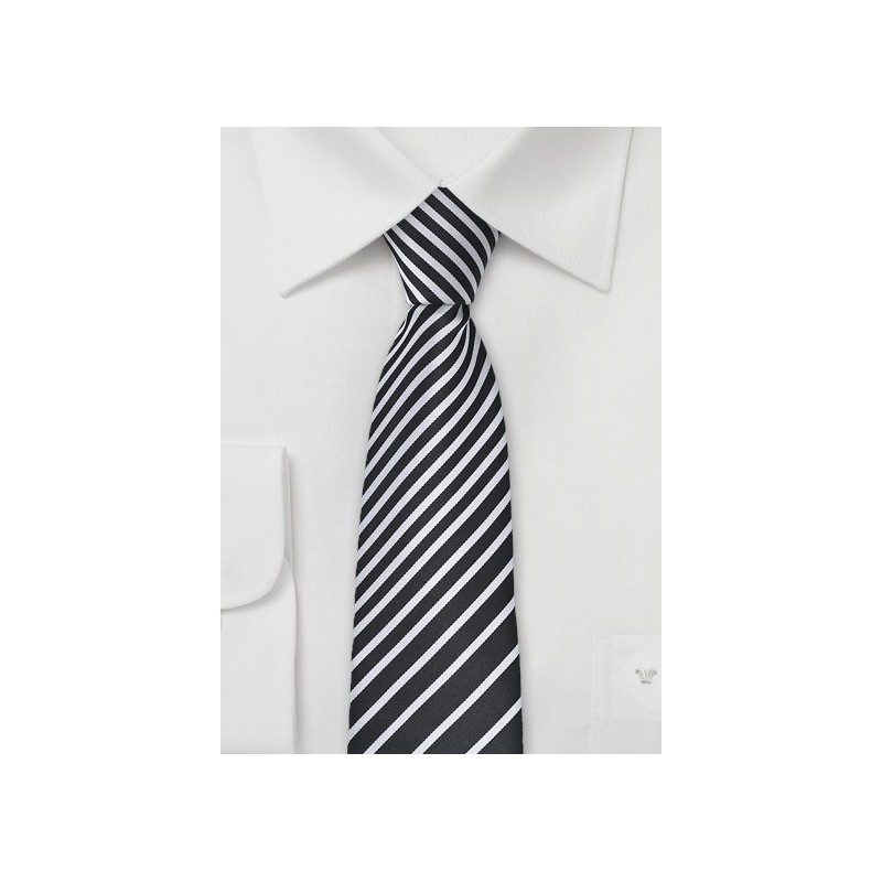 Striped Skinny Tie in Black and White