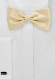 Elegant Champagne Bow Tie
