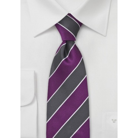 Wide Striped Tie in Purple and Grey