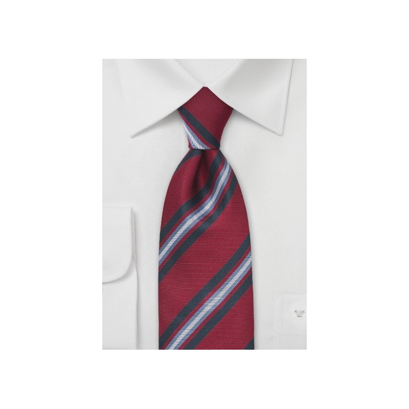 Scholarly Tie in Crimson and Blue