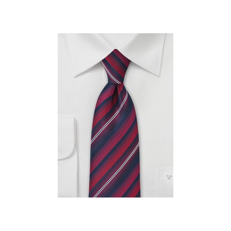 Savvy Striped Tie in Reds and Navys