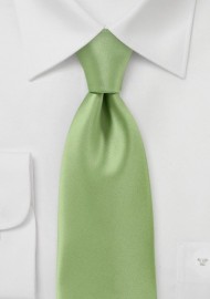Solid Color Tie in Celery Green