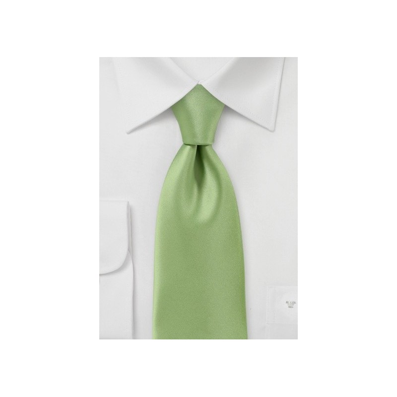 Solid Color Tie in Celery Green