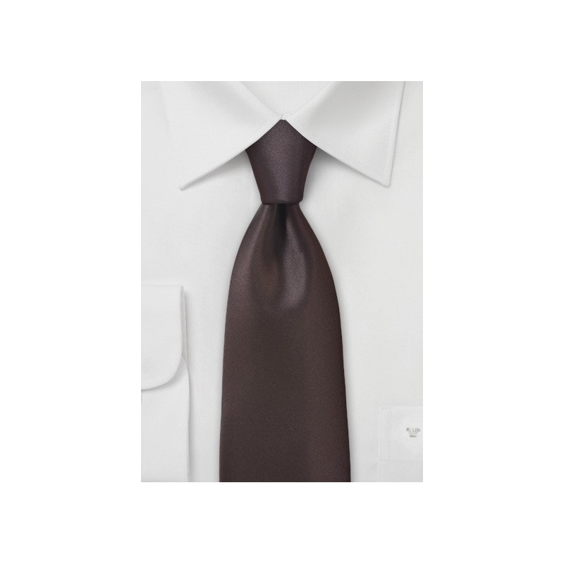 Truffle Brown Necktie