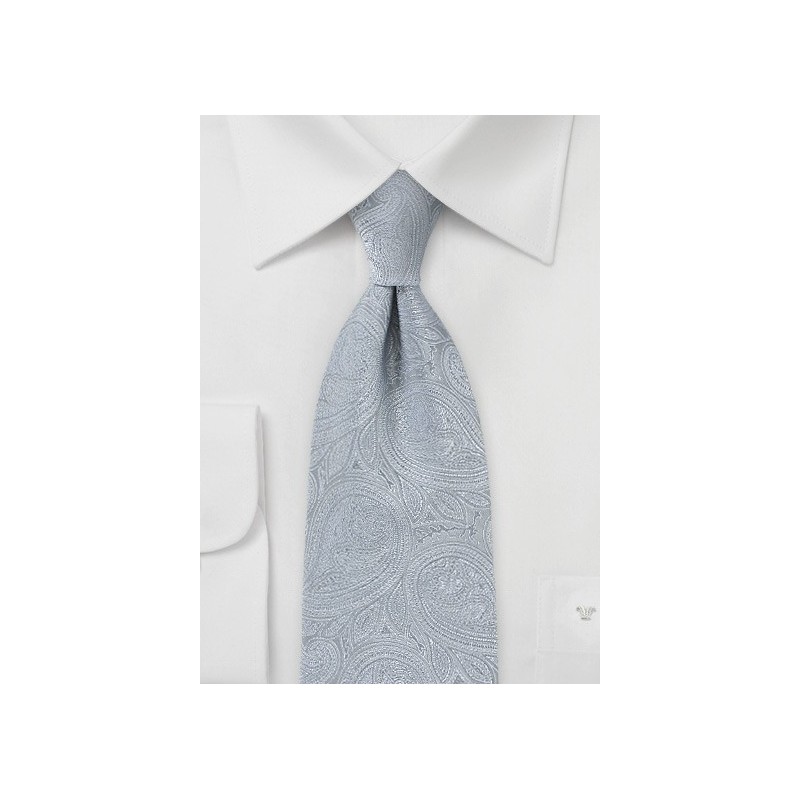 Elegant Paisley Tie in Silvers
