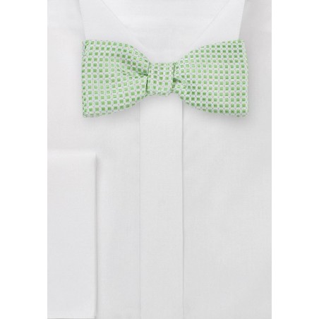 Self Tie Bow Tie in Platinum and Lime