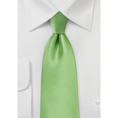 Solid Colored Men's Tie in Spring Green
