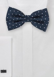 Polka Dot Bow Tie in Navy and Silver