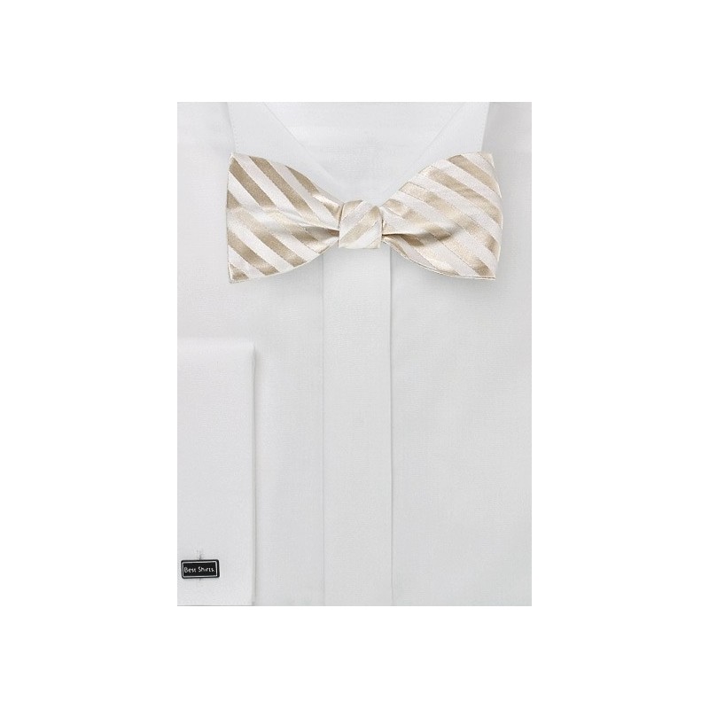 Elegant Self Tie Bow Tie in Ivory