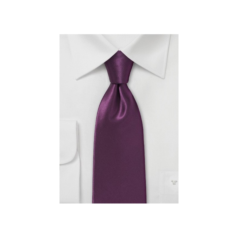 Solid Silk Necktie in Spiced Wine Red