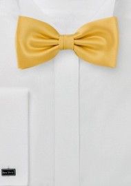 Amber Yellow Mens Bow Tie