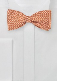 Vintage Design Bow Tie in Orange