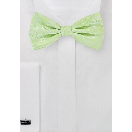 Pale Mint Green Bow Tie with Paisley
