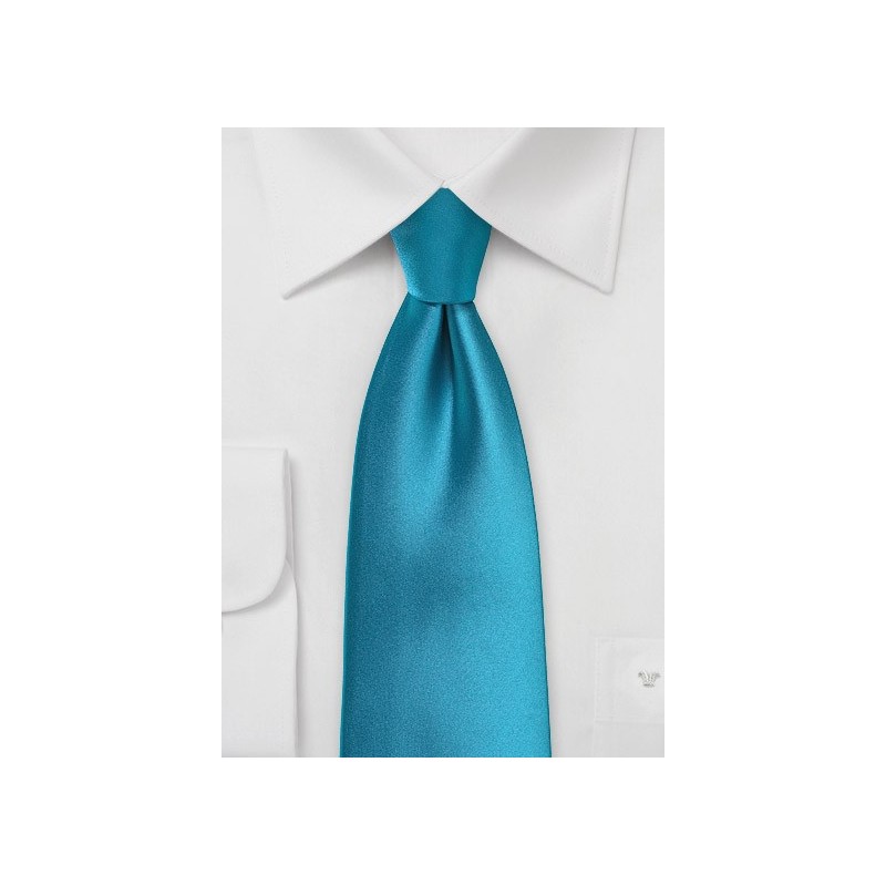 Peacock Colored Extra Long Tie