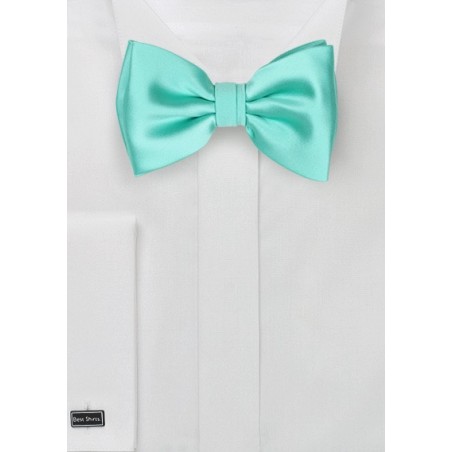 Bow Tie in Beach Glass