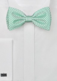 Bow Tie in Mint and Clover Green