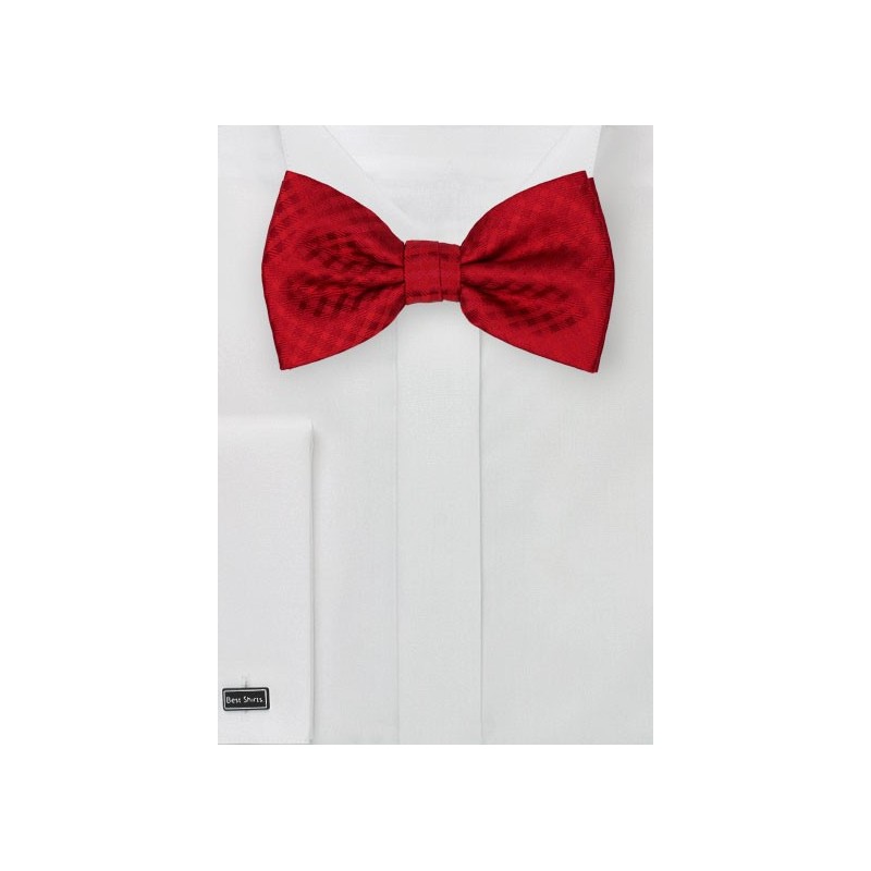 Solid Gingham Check Bow Tie in Red
