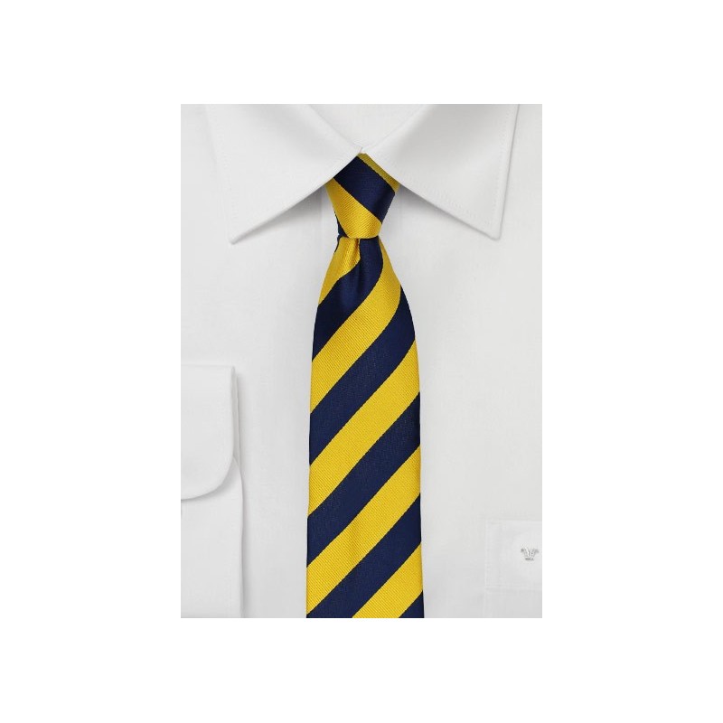 Skinny Striped Tie in Navy and Yellow