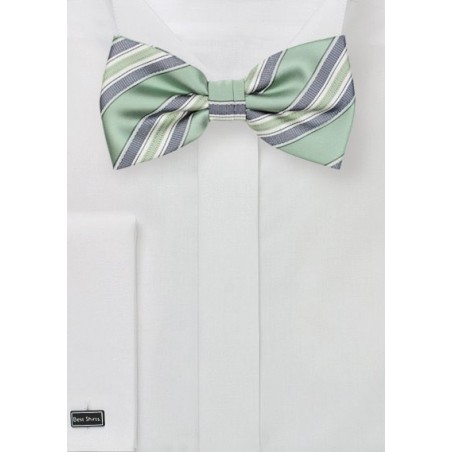 Striped Bow Tie in Clover Green
