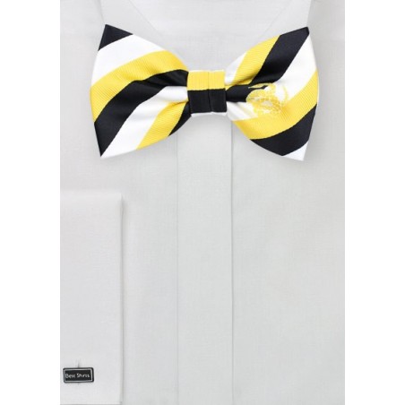 Striped Bow Tie for Sigma Nu