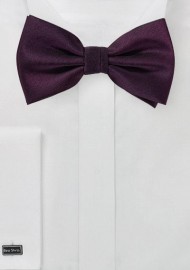 Grape Colored Mens Bow Tie