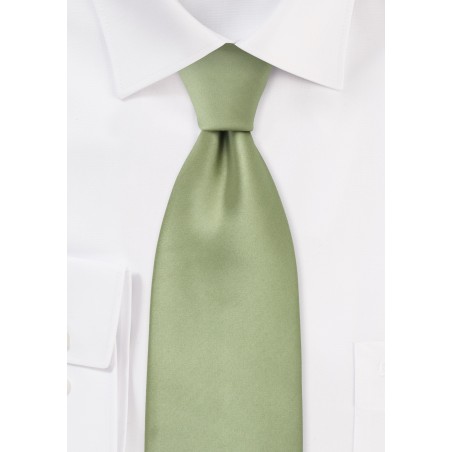 Solid Necktie in Sage Green