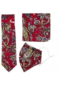 Paisley Necktie and Mask Gift Set