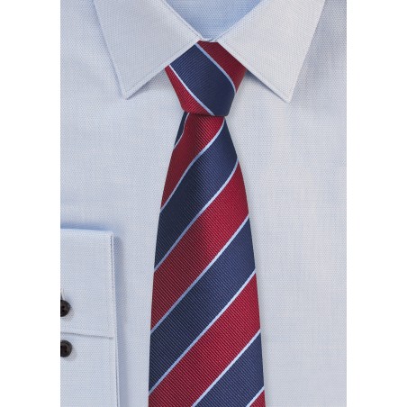 Collegiate Stripe Skinny Tie in Red and Blue