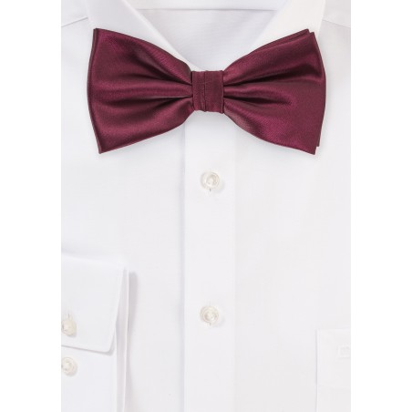 Wine Red Colored Bow Tie