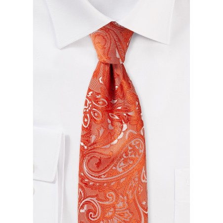 Tiger Lilly Paisley Tie