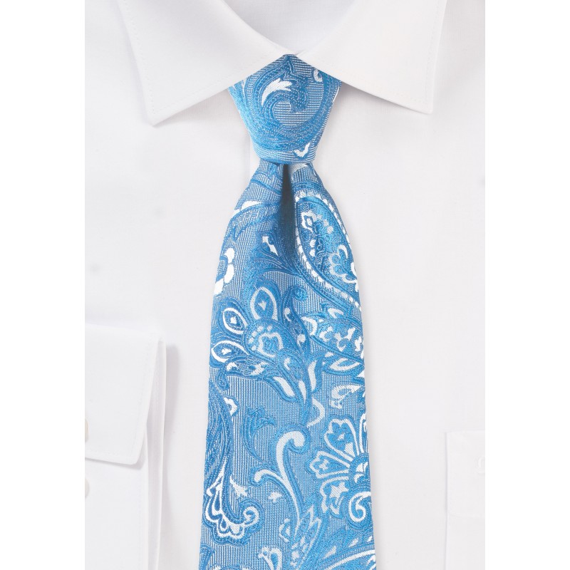 Blue Jay Hued Paisley Tie in XL