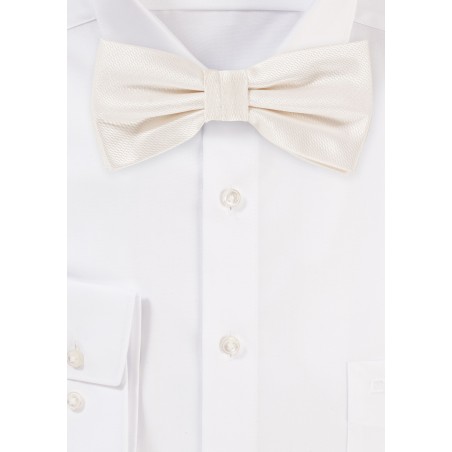 Textured Mens Bow Tie in Ivory