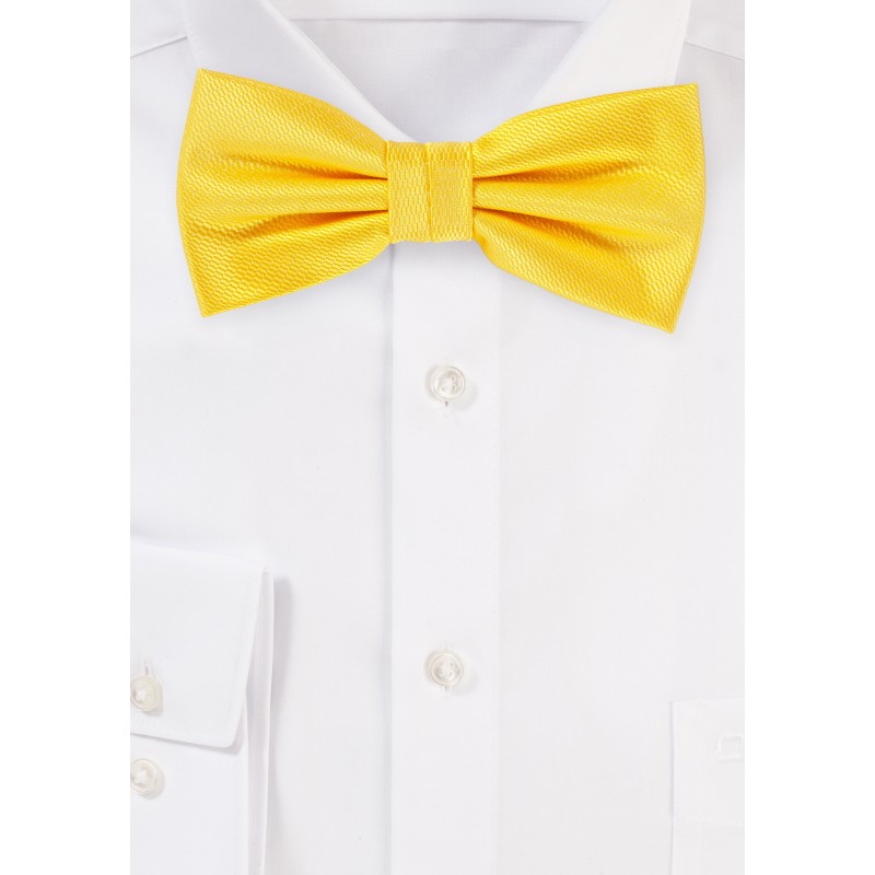 Formal Bow Tie in Daffodil
