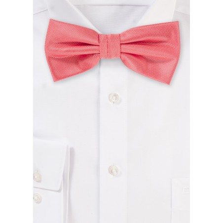 Dressy Bow Tie in Coral Reef