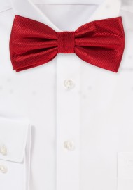 Elegant Dress Bow Tie in Cherry