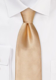 Solid Champagne Color Kids Tie