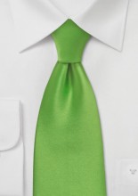 green-tie-bright-kelly