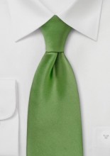 green-tie-fern