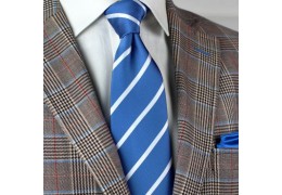 Collegiate Mens Style - Repp Stripe Ties